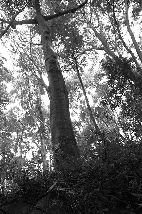 Photographer Tilaxan Tharmapalan