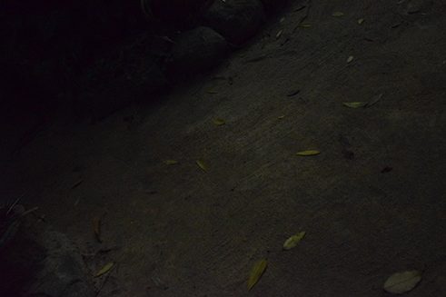 Photographer Liz Fernando