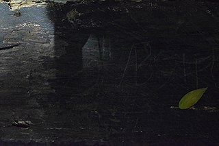 Photographer Liz Fernando