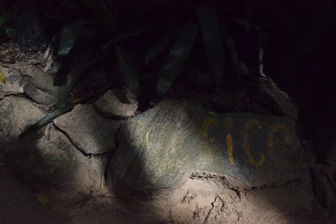 Photographer Liz Fernando