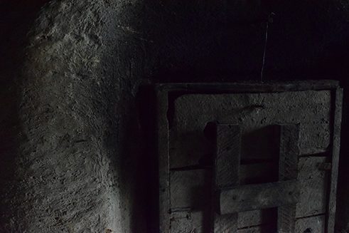 Photographer Liz Fernando