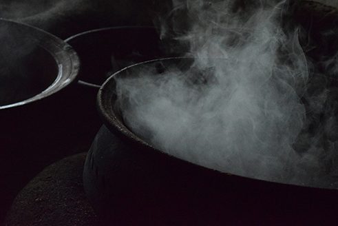 Photographer Liz Fernando