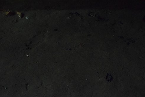 Photographer Liz Fernando