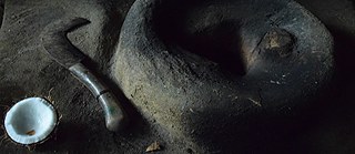 Photographer Liz Fernando