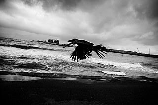 Photographer Andy Spyra