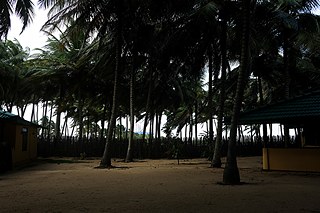 Photographer Munira Mutaher