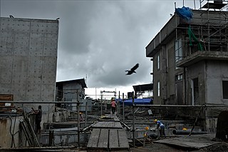 Photographer Munira Mutaher