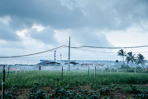 Photographer Reza Akram