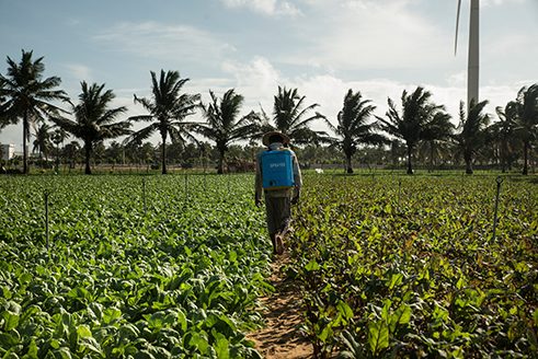 Photographer Reza Akram