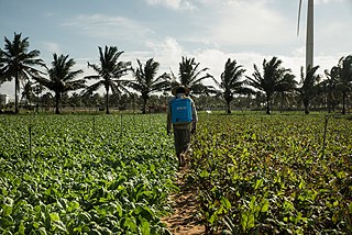 Photographer Reza Akram