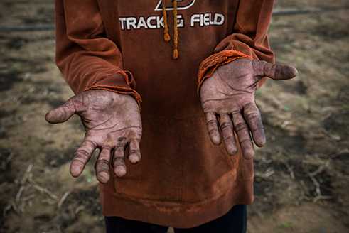 Fotograf Reza Akram