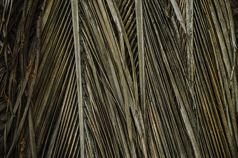 Photographer Ramanathan Parilojithan