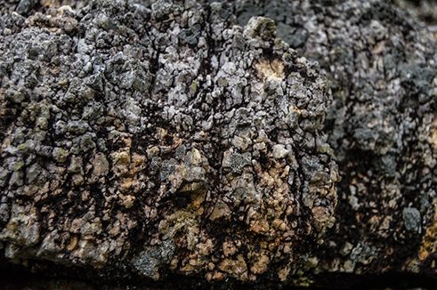 Photographer Ramanathan Parilojithan