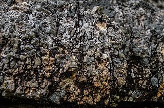 Photographer Ramanathan Parilojithan