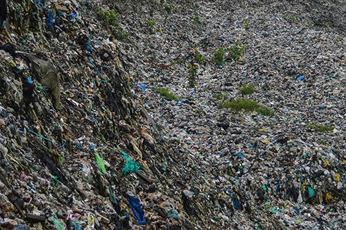 Photographer Ramanathan Parilojithan