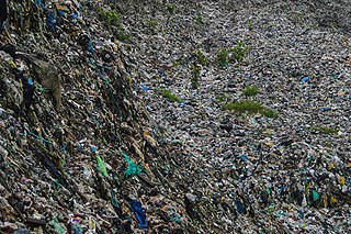 Photographer Ramanathan Parilojithan