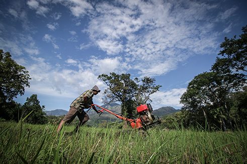 Photographer Dilanka Bandara