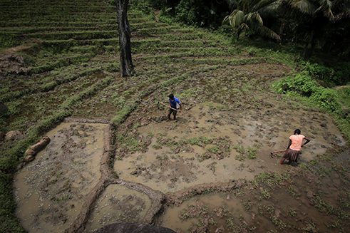 Photographer Dilanka Bandara