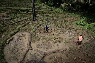 Photographer Dilanka Bandara