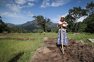 Photographer Dilanka Bandara