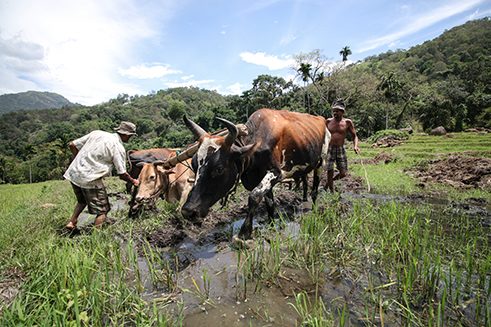 Photographer Dilanka Bandara