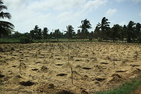 Photographer Sandranathan Rubatheesan