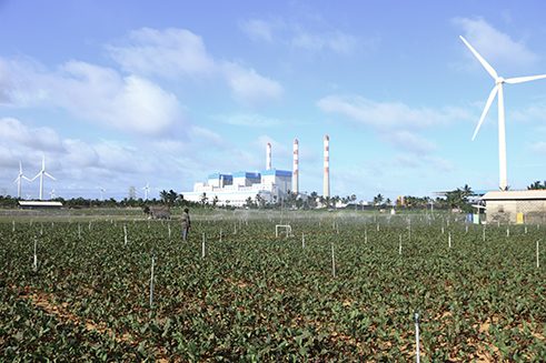 Photographer Sandranathan Rubatheesan