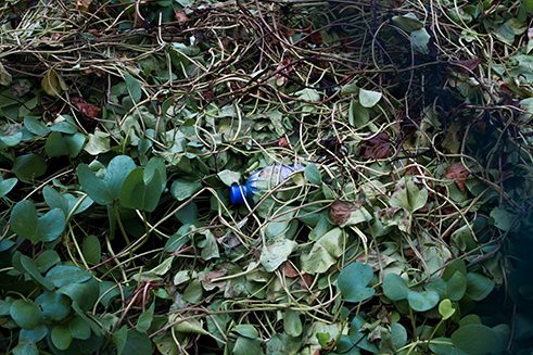 Photographer Tashiya de Mel