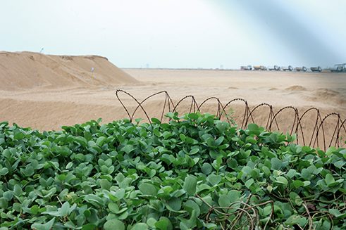 Photographer Tashiya de Mel