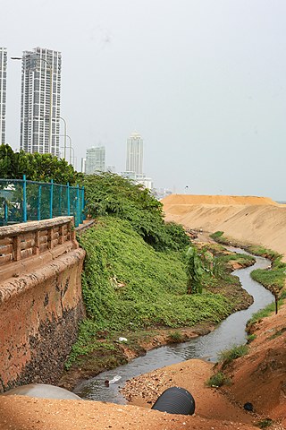 Fotograf Tashiya de Mel