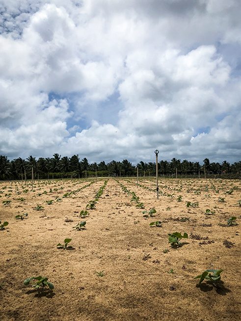 Photographer Tashiya de Mel