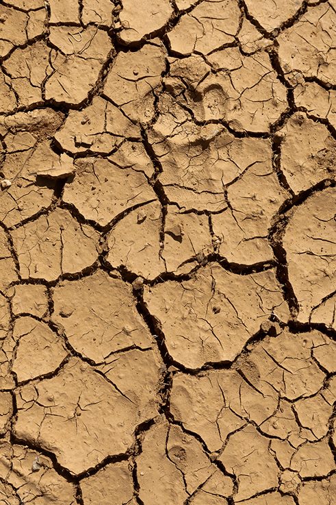 Photographer Tashiya de Mel