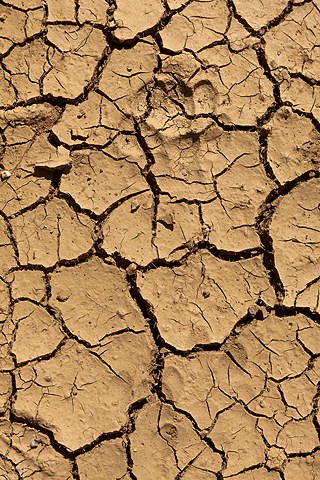 Fotograf Tashiya de Mel