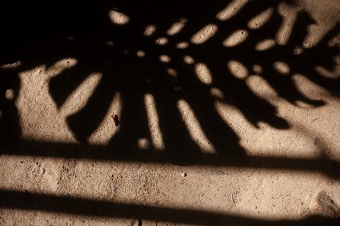 Photographer Tashiya de Mel