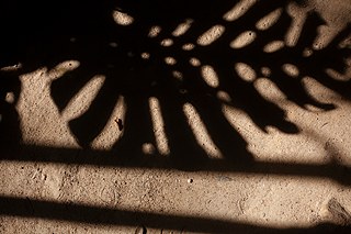 Fotograf Tashiya de Mel