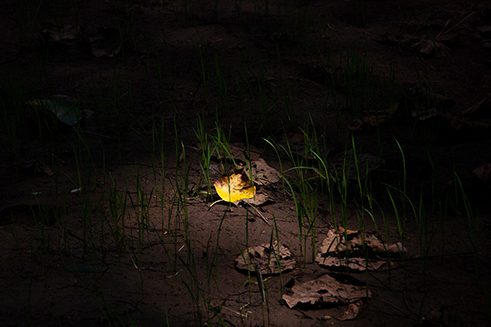 Photographer Tashiya de Mel