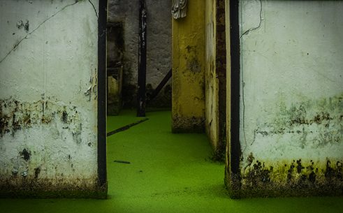 Photographer Prageeth Wimalarathna