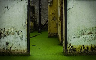 Photographer Prageeth Wimalarathna