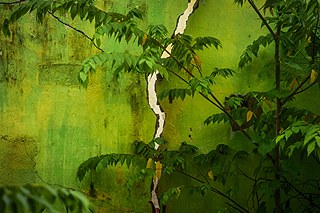 Photographer Prageeth Wimalarathna