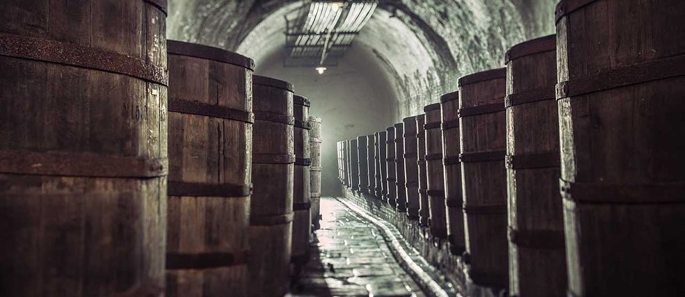 In the basement of the brewery in Pilsen