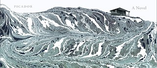 Robert Seethaler - A Whole Life © Picador