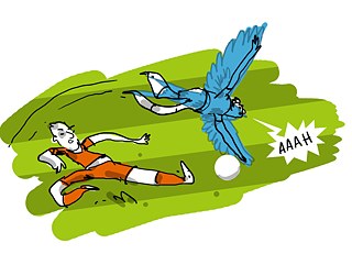 Eine Schwalbe machen