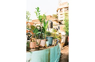 Es grünt in den Gassen von Chimbai.