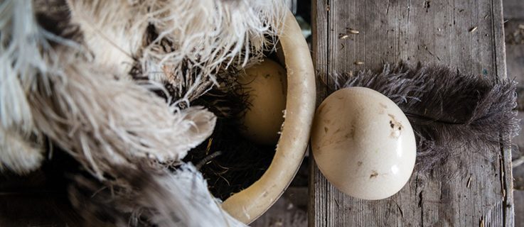 Foto: © Christian Frey, Moritz Gathmann