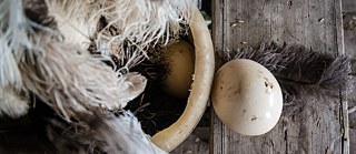 Foto: © Christian Frey, Moritz Gathmann &copy; Foto: © Christian Frey, Moritz Gathmann Foto: © Christian Frey, Moritz Gathmann