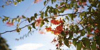 Fermeture de l'institut