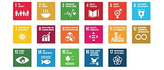  Sustainable development goals © UNITED NATIONS &copy; © UNITED NATIONS Sustainable development goals