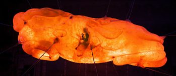 Joachim Meyerhoff  στο  "Die Welt im Rücken"