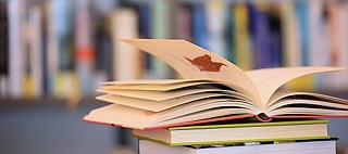 Talk by Barbara Lison