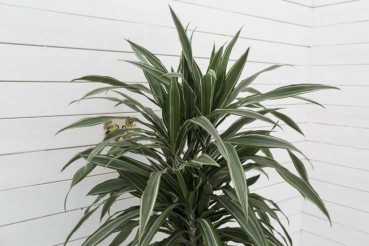 Nichts vergeht (nur das, was vorbeigeht) 